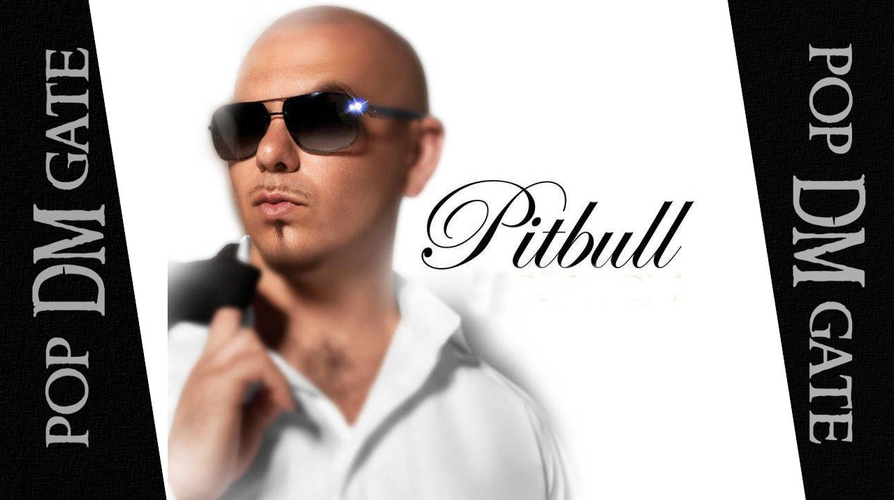 10 min Micromix Pitbull