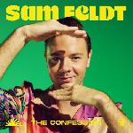 Sam Feldt The Confession