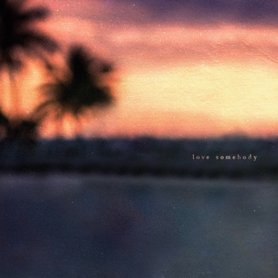 Morgan Wallen Love Somebody 1