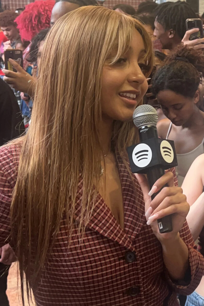 Pinkpantheress Ft. Zara Larsson