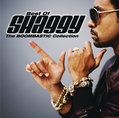Shaggy Boombastic